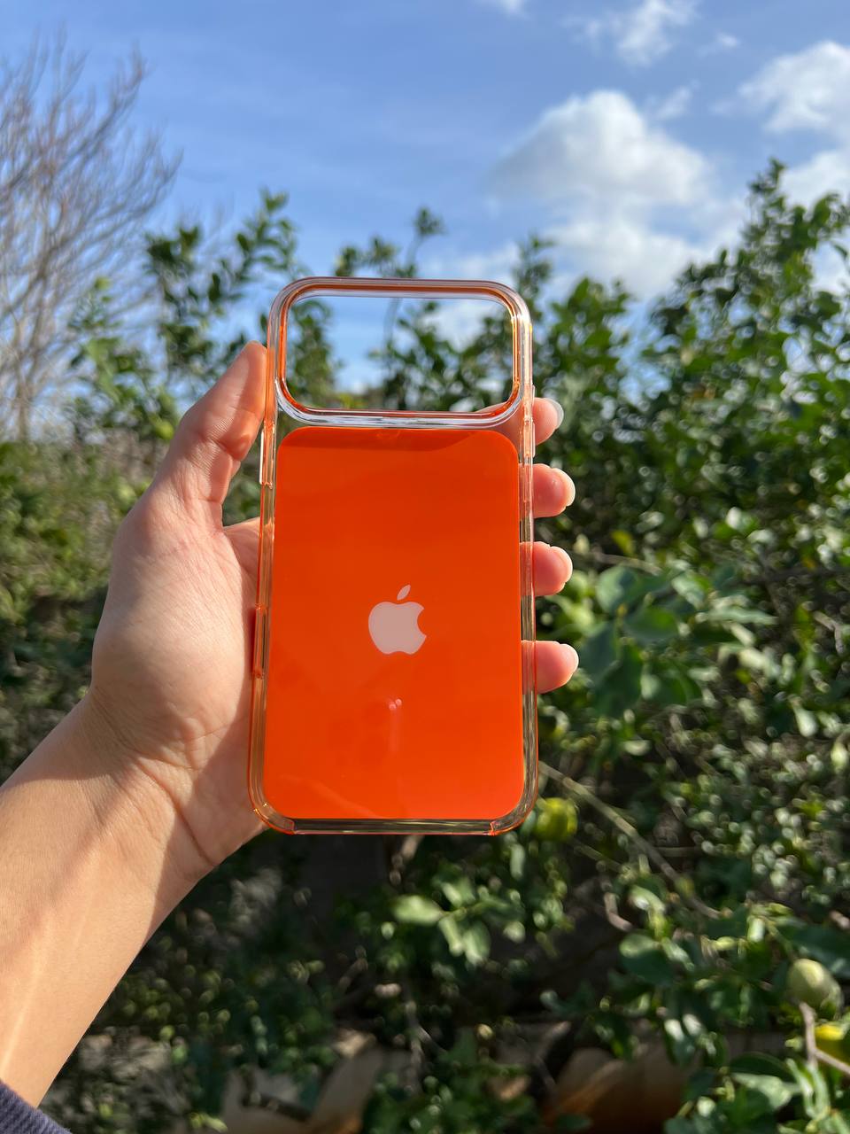 Antichoc Middle Couleur Original Iphone
