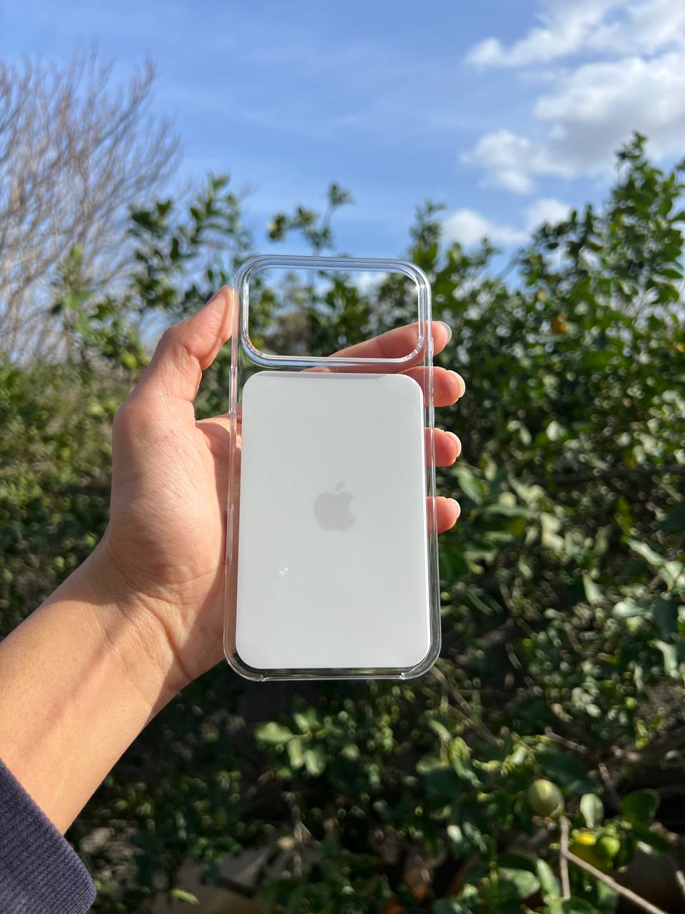 Antichoc Middle Couleur Original Iphone